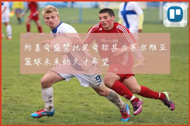 约基奇盛赞托皮奇称其为塞尔维亚篮球未来的天才希望