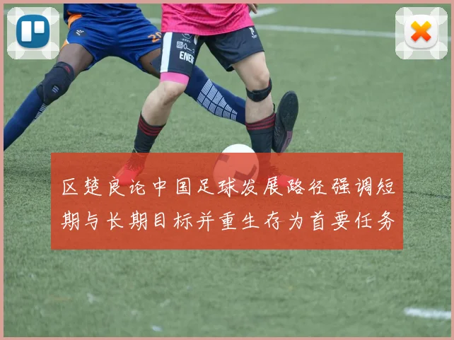 区楚良论中国足球发展路径强调短期与长期目标并重生存为首要任务