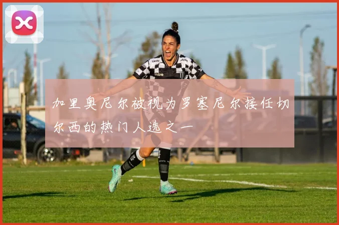 加里奥尼尔被视为罗塞尼尔接任切尔西的热门人选之一